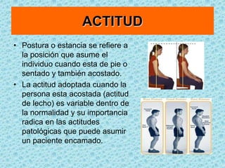 BIOTIPO O HABITO EXTERNOTenemos:Brevilineos, megalosplacnicos (del griego megas: grande; esplangkhnon: víscera)Picnicos (del griego: pyknus: espeso, condensado)Hiperestenicos (del griego hyper: exceso; sthenos: fuerza)