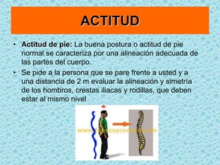 BIOTIPO O HABITO EXTERNOBrevilineos, megalosplacnicos :Son de poca estatura, son mas bien gruesos y corpulentos, tienen cuello corto, tórax ancho, ángulo costal epigástrico muy abierto, obtuso, musculatura bien desarrollada y extremidades relativamente pequeñas.