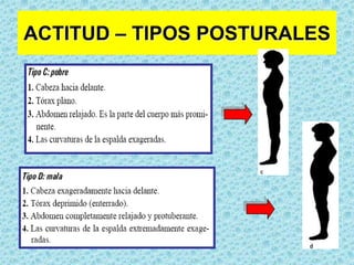 ACTITUDPostura o estancia se refiere a la posición que asume el individuo cuando esta de pie o sentado y también acostado.La actitud adoptada cuando la persona esta acostada (actitud de lecho) es variable dentro de la normalidad y su importancia radica en las actitudes patológicas que puede asumir un paciente encamado.