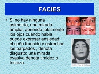 ACTITUD – TIPOS POSTURALES