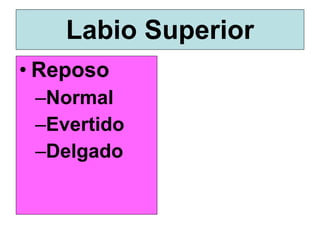 Labio Reposo El Examen Ortodoncicio(Copiaestudiantes) | PPT