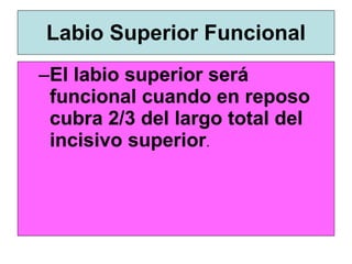 Labio Reposo El Examen Ortodoncicio(Copiaestudiantes) | PPT