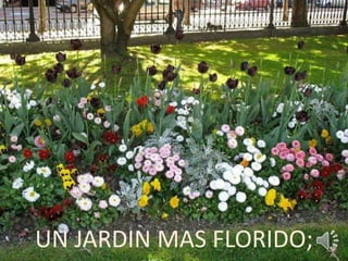 UN JARDIN MAS FLORIDO; 
 