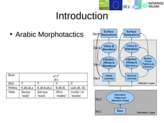 Introduction
• Arabic Morphotactics
 