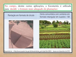No campo, dentre outras aplicações, a Geometria é utilizada 
para decidir o formato mais adequado de plantações: 
 