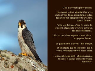 O be el que seria pitjor encara:  ¿Has perdut la teva identitat i les teves arrels, i t’has deixat assimilar per la tesi dels que s’han apropiat de la teva terra com si fos seva? Per la tesi dels que s’han fet amos del teu destí, ofeguen la teva veu, es burlen dels teus sentiments... Són els que t’han imposat la seva pàtria i menyspreen la teva,  es queden amb el que tu t’has afanyat, et fan creure que no tens ales i que et convé romandre subjecte al seu arbre, i vius condicionat amb l’absurda creença de que si et deixes anar de la branca, pots caure? 