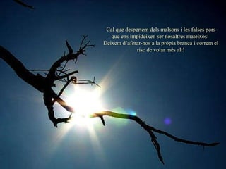 Cal que despertem dels malsons i les falses pors que ens impideixen ser nosaltres mateixos!  Deixem d’aferar-nos a la pròpia branca i correm el risc de volar més alt! 