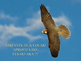 ATREVEIX-TE A VOLAR! APROFITA-HO, FES-HO ARA  !!! 