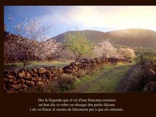 Diu la llegenda que el rei d'una llunyana comarca un bon dia va rebre en obsequi dos petits falcons i els va lliurar al mestre de falconeria per  a que  els entren és. 
