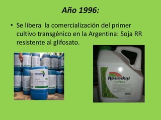 Año 1996:
• Se libera la comercialización del primer
  cultivo transgénico en la Argentina: Soja RR
  resistente al glifosato.
 
