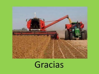 Gracias
 