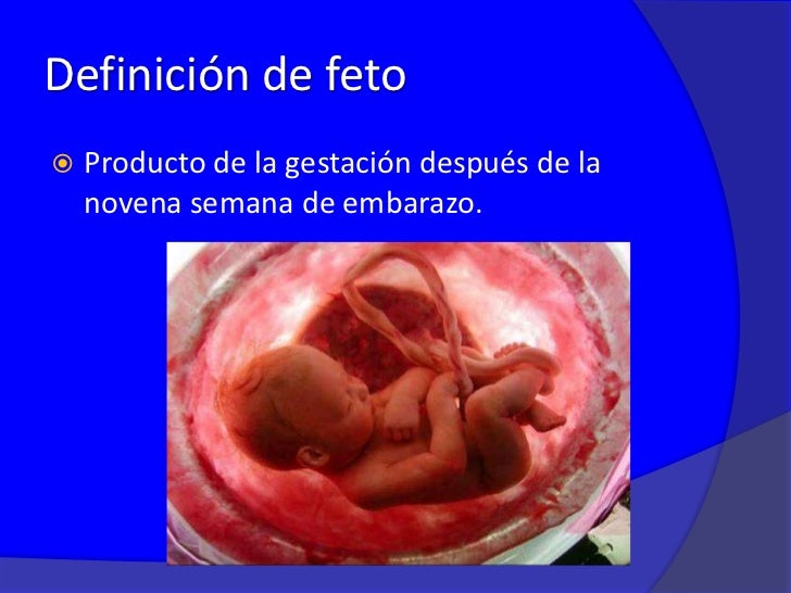 El feto como paciente El feto como paciente