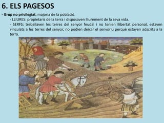 6. ELS PAGESOS
- Grup no privilegiat, majoria de la població.
- LLIURES: propietaris de la terra i disposaven lliurement de la seva vida.
- SERFS: treballaven les terres del senyor feudal i no tenien llibertat personal, estaven
vinculats a les terres del senyor, no podien deixar el senyoriu perquè estaven adscrits a la
terra.
 