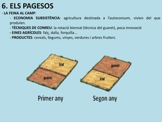 6. ELS PAGESOS
- LA FEINA AL CAMP:
- ECONOMIA SUBSISTÈNCIA: agricultura destinada a l’autoconsum, vivien del que
produïen.
- TÈCNIQUES DE CONREU: la rotació biennal (tècnica del guaret), poca innovació
- EINES AGRÍCOLES: falç, dalla, forquilla...
- PRODUCTES: cereals, llegums, vinyes, verdures i arbres fruiters.
 