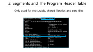 3. Segments and The Program Header Table
- Only used for executable, shared libraries and core files
 