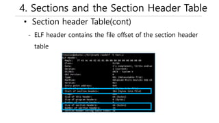 4. Sections and the Section Header Table
- ELF header contains the file offset of the section header
table
• Section header Table(cont)
 