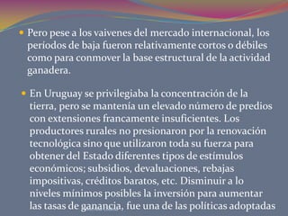 Prof.Ana Codina<br />