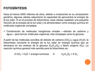 FOTOSÍNTESIS
Hace al menos 2000 millones de años, debido a mutaciones en su composición
genética, algunas células adquirieron la capacidad de aprovechar la energía de
la luz solar  en el proceso de fotosíntesis, esas células captaban una pequeña
fracción de la energía de la luz solar y la almacenaban como energía química en
moléculas orgánicas complejas.
 Combinación de moléculas inorgánicas simples —dióxido de carbono y
agua— para formar moléculas orgánicas más complejas como la glucosa.
A partir de las moléculas sencillas de dióxido de carbono (CO2) y agua (H2O), la
fotosíntesis convierte la energía de la luz solar en energía química que se
almacena en los enlaces de la glucosa (C6H12O6) y libera oxígeno (O2). La
reacción química general más sencilla para la fotosíntesis es:
6 CO2 + H2O + energía luminosa  C6H12O6 + 6 O2
 
