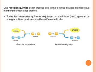 Una reacción química es un proceso que forma o rompe enlaces químicos que
mantienen unidos a los átomos.
 Todas las reacciones químicas requieren un suministro (neto) general de
energía, o bien, producen una liberación neta de ella.
Reacción endergónica Reacción exergónica
 