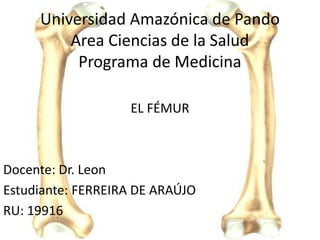 Universidad Amazónica de Pando
Area Ciencias de la Salud
Programa de Medicina
EL FÉMUR
Docente: Dr. Leon
Estudiante: FERREIRA DE ARAÚJO
RU: 19916
 