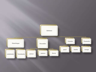 Idiófonos
Entrechoque
castañuelas Tarrañuelas
Percutidos
carraca matraca fierros
Frotados
payel botella
Punteados
trompa
 