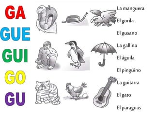 La manguera
El gorila
El gusano
La gallina
El águila
El pingüino
La guitarra
El gato
El paraguas