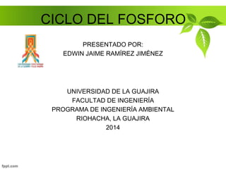CICLO DEL FOSFORO
PRESENTADO POR:
EDWIN JAIME RAMÍREZ JIMÉNEZ
UNIVERSIDAD DE LA GUAJIRA
FACULTAD DE INGENIERÍA
PROGRAMA DE INGENIERÍA AMBIENTAL
RIOHACHA, LA GUAJIRA
2014
 