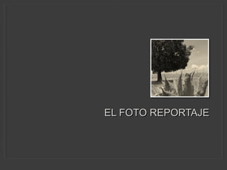 EL FOTO REPORTAJE
 