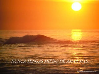 NUNCA TENGAS MIEDO DE AMAR MÁS
fernandomalchanrosas@yahoo.com.mx
 