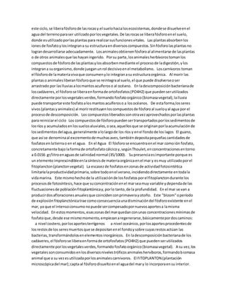 este ciclo, se libera fósforo de las rocas y el suelo hacia los ecosistemas, donde se disuelve en el 
agua del terreno para ser utilizado por los vegetales. De las rocas se libera fósforo en el suelo, 
donde es utilizado por las plantas para realizar sus funciones vitales. Las plantas absorben los 
iones de fosfato y los integran a su estructura en diversos compuestos. Sin fósforo las plantas no 
logran desarrollarse adecuadamente. Los animales obtienen fósforo al alimentarse de las plantas 
o de otros animales que las hayan ingerido. Por su parte, los animales herbívoros toman los 
compuestos de fósforo de las plantas y los absorben mediante el proceso de la digestión, y los 
integran a su organismo, donde juegan un rol decisivo en el metabolismo. Los carnívoros toman 
el fósforo de la materia viva que consumen y lo integran a su estructura orgánica. Al morir las 
plantas o animales liberan fósforo que se reintegra al suelo, el que puede disolverse o ser 
arrastrado por las lluvias a los mantos acuíferos o al océano. En la descomposición bacteriana de 
los cadáveres, el fósforo se libera en forma de ortofosfatos (PO4H2) que pueden ser utilizados 
directamente por los vegetales verdes, formando fosfato orgánico (biomasa vegetal), la lluvia 
puede transportar este fosfato a los mantos acuíferos o a los océanos. De esta forma,los seres 
vivos (plantas y animales) al morir restituyen los compuestos de fósforo al suelo y al agua por el 
proceso de descomposición. Los compuestos liberados son otra vez aprovechados por las plantas 
para reiniciar el ciclo Los compuestos de fósforo pueden ser transportados por los sedimentos de 
los ríos y acumulados en los suelos aluviales, o sea, aquellos que se originan por la acumulación de 
los sedimentos del agua, generalmente a lo largo de los ríos y en el fondo de los lagos El guano, 
que así se denomina al excremento de muchas aves, también deposita pequeñas cantidades de 
fosfatos en la tierra o en el agua. En el Agua El fósforo se encuentra en el mar como ión fosfato, 
concretamente bajo la forma de ortofosfato cálcico y, según Thoulet, en concentraciones en torno 
a 0.0156 gr/litro en aguas de salinidad normal (35/1000). Su presencia es importante porque es 
un elemento imprescindible en la síntesis de materia orgánica en el mar y es muy utilizado por el 
fitoplancton (plancton vegetal). La escasez de fosfatos en zonas de actividad fotosintética 
limitaría la productividad primaria, sobre todo en el verano, incidiendo directamente en toda la 
vida marina. Este mismo hecho de la utilización de los fosfatos por el fitoplancton durante los 
procesos de fotosíntesis, hace que su concentración en el mar sea muy variable y dependa de las 
fluctuaciones de población fitoplantónica y, por lo tanto, de la profundidad. En el mar se van a 
producir dos afloraciones anuales que coinciden con primavera y otoño. Este "bloom" o período 
de explosión fitoplanctónica trae como consecuencia una disminución del fósforo existente en el 
mar, ya que el intenso consumo no puede ser compesado por nuevos aportes a la misma 
velocidad. En estos momentos, esas zonas del mar quedan con unas concentraciones mínimas de 
fosfato que, desde ese mismo momento, empiezan a regenerarse, básicamente por dos caminos: 
a nivel costero, por los aportes terrígenos a nivel oceánico, por los aportes procedentes de 
los restos de los seres muertos que se depositan en el fondo y sobre cuyas restos actúan las 
bacterias, transformándolos en elementos inorgánicos. En la descomposición bacteriana de los 
cadáveres, el fósforo se libera en forma de ortofosfatos (PO4H2) que pueden ser utilizados 
directamente por los vegetales verdes, formando fosfato orgánico (biomasa vegetal). A su vez, los 
vegetales son consumidos en los diversos niveles tróficos animales hervíboros, formando biomasa 
animal que a su vez es utilizada por los animales carnivoros. El FITOPLANTON (plantación 
microscópica del mar); capta al fósforo disuelto en el agua del mar y lo incorpora en su interior. 
 