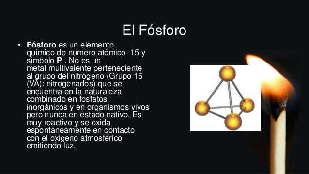 El fósforo