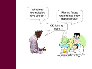 Ethiopian Livestock Feed Project – approaches, tools, results