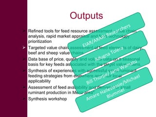 Ethiopian Livestock Feed Project – approaches, tools, results