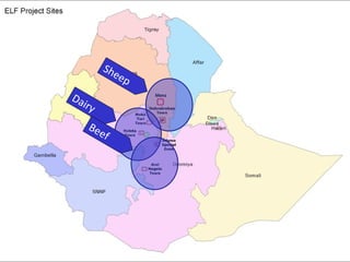Ethiopian Livestock Feed Project – approaches, tools, results