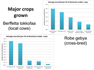 Results and experiences using value chain analysis, FEAST and Techfit tools in the Ethiopian Livestock Feed Project