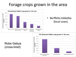Results and experiences using value chain analysis, FEAST and Techfit tools in the Ethiopian Livestock Feed Project