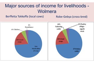 Results and experiences using value chain analysis, FEAST and Techfit tools in the Ethiopian Livestock Feed Project