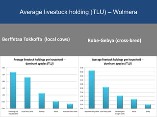 Results and experiences using value chain analysis, FEAST and Techfit tools in the Ethiopian Livestock Feed Project