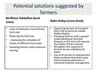Results and experiences using value chain analysis, FEAST and Techfit tools in the Ethiopian Livestock Feed Project