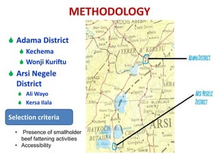Results and experiences using value chain analysis, FEAST and Techfit tools in the Ethiopian Livestock Feed Project