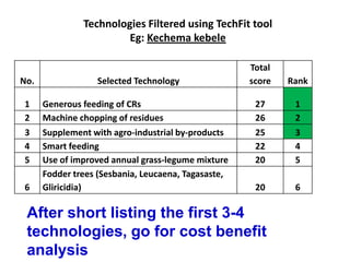 Results and experiences using value chain analysis, FEAST and Techfit tools in the Ethiopian Livestock Feed Project