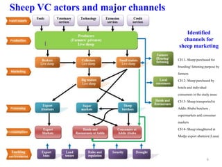 Results and experiences using value chain analysis, FEAST and Techfit tools in the Ethiopian Livestock Feed Project