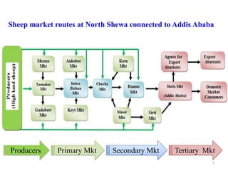 Results and experiences using value chain analysis, FEAST and Techfit tools in the Ethiopian Livestock Feed Project
