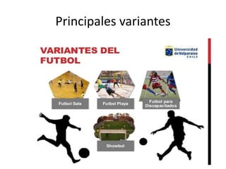 Principales variantes
 