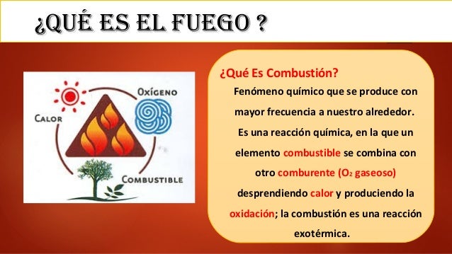 El fuego expo sguridad iii
