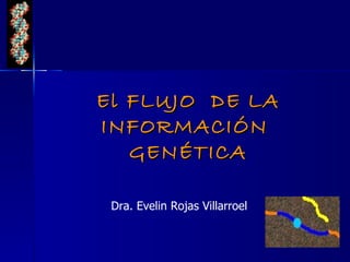 El FLUJO DE LA
INFORMACIÓN
   GENÉTICA

 Dra. Evelin Rojas Villarroel
 