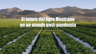 El futuro del Agro Mexicano
en un mundo post-pandemia
 