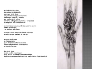 Estén todos en su sitio,
parémonos a contemplar
como una bella dama
desprendiendo un peculiar aroma
de manera especial y sensual
por encima de la colina
mientras cabalga sobre una nube enrojecida
su elegancia nos quiere mostrar

su melena dorada deslumbraba nuestros rostros
de tal manera que
 no pudimos reaccionar

Aunque cuando desapareció en el horizonte
su dulce aroma nos dejo de afectar


su paso por la zona
se hizo de notar
pues donde antes había desierto
ahora una abundante fauna y flora
se puede disfrutar.


Esa bella dama
a este pueblo trajo la paz
pues incluso los intelectuales pensadores
dedujeron que de un bello astro se podía tratar. (José Nohales)
 