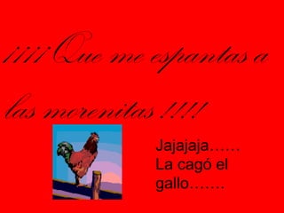 ¡¡¡¡Que me espantas a las morenitas !!!! Jajajaja…… La cagó el  gallo……. 