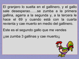 El granjero lo suelta en el gallinero, y el gallo sale desesperao……se zumba a la primera gallina, agarra a la segunda y, a la tercera le hace el 69 y cuando está con la cuarta revienta y cae muerto en medio del gallinero.  Este es el segundo gallo que me vendes  ¡¡se zumba 3 gallinas y cae muerto¡¡  